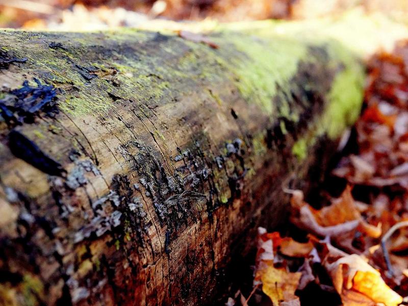 sudoku pencil marks screenshot 3